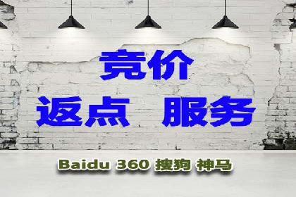 百度推广代运营公司成功案例：精准投放广告的秘诀